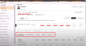 Employee-Selected-displaying-the-Configurable-Time-Summary