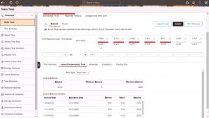 Leave-or-Compensatory-Time-tab-showing-details-for-Chosen-date