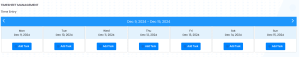 Timesheet Management Time Entry Grid