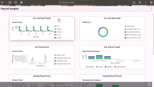 Fig.1 Payroll Insights