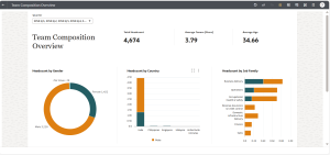 Fig 4 Data Visualization in Team Composition Overview